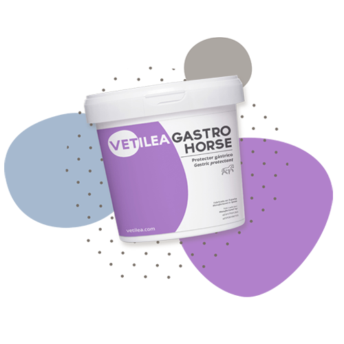 Vetilea Gastro Horse Pack