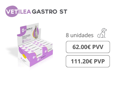 Expositor Gastro ST