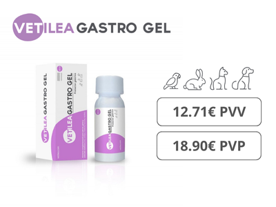 Gastro Gel